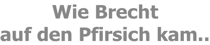 Wie Brecht  auf den Pfirsich kam..